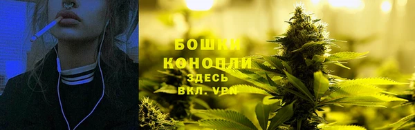 стафф Протвино