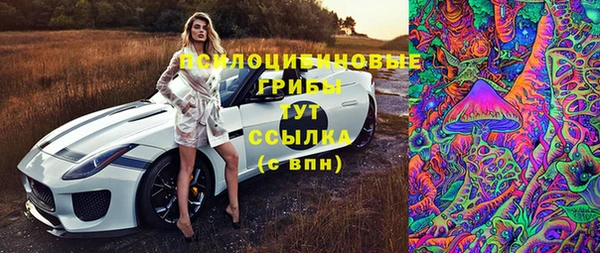 бошки Белоозёрский