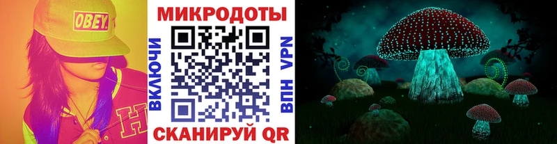 как найти   Полесск  Галлюциногенные грибы мицелий 